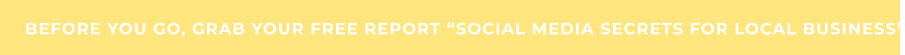 BEFORE YOU GO, GRAB YOUR FREE REPORT “SOCIAL MEDIA SECRETS FOR LOCAL BUSINESS”